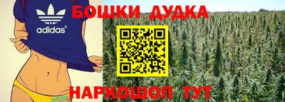PSILOCYBIN Кулебаки