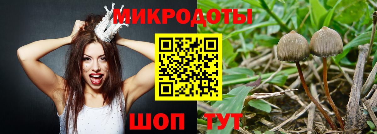 Гай  Псилоцибиновые грибы мухоморы  купить наркоту  Вход с VPN 